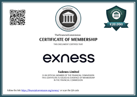 Understanding Exness ECN Account Minimum Deposit 16 Understanding Exness ECN Account Minimum Deposit 16